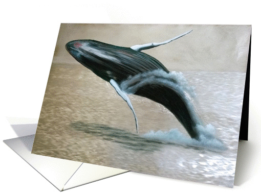 Hump Back Whale card (1356462)