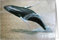 Hump Back Whale card