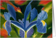 Iris oil painting card