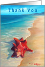 Sea Shell Home - Thank you card