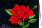 Rendition Water Fall Painting card