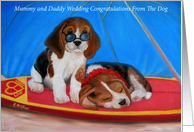 Hawaiian Puppy Love, Wedding Congratulations From Pet Beagles. card