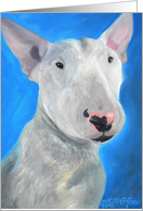 Bull Terrier card