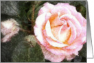 Garden Party card