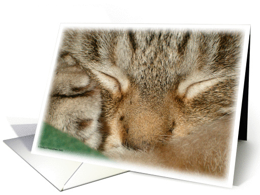 Sleepy Kitty card (157327)