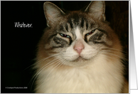 Whatever. card