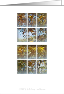 Thu my window ... Autumn Leaves card