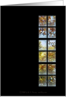 Still looking thru my window ... Autumn leaves card