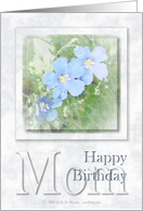 Happy Birthday Mom - Mother-in-law card
