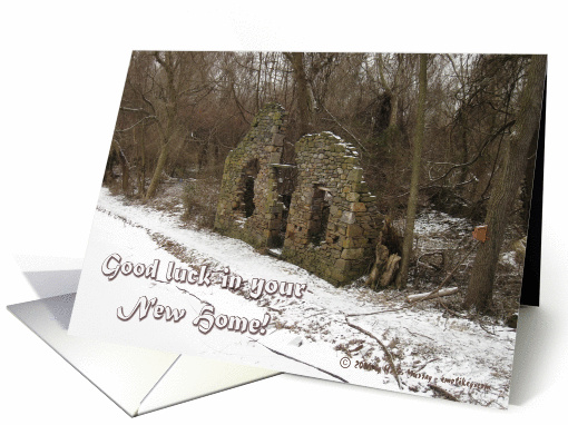 Good Luck in Your New Home - Funny card (376447)