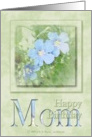 Mom - Happy Birthday card