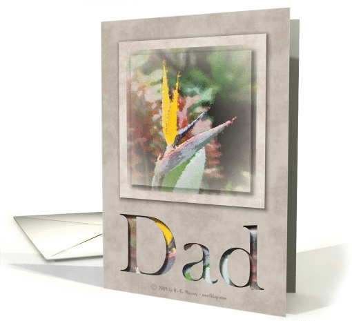 DAD - Happy Father's Day card (385725)