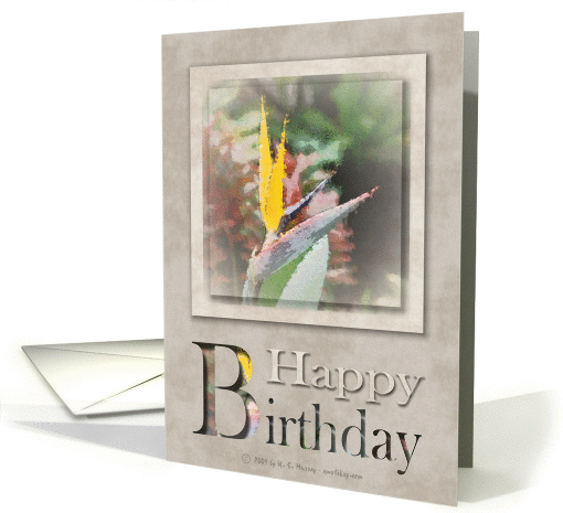 For HIm - Happy Birthday card (385731)