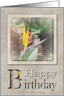 For HIm - Happy Birthday card