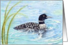 Bird Masculine Loon On Blue Waters Blank card