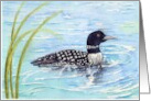 Father’s Day Loon On Blue Waters card