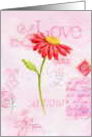 Valentine’s Day Love Letters Wonderful You Red Daisy card