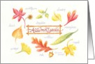 Blank Note Autumn Leaves Botanical Variety card