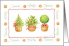 Christmas Spruce Holly Topiary Decorative Pots Gifts of the Season card