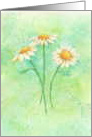 Birthday Three Graceful Daisies card