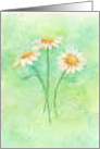 Encouragement Three Graceful Daisies Faith Strength Brings Hope card