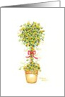 Christmas Star Topiary card