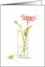 Blank Note Any Occasion Pink Daisy in Vase card