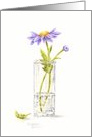 Blank Note Card Purple Daisy in Vase Any Occasion card