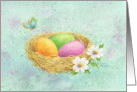 Easter Beautiful Colored Eggs Nest Wonderful Joys of Nature in Spring card