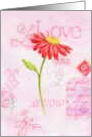 Valentine’s Day Red Daisy and Love card