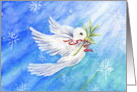 Christian Christmas Dove With Olive Branch of Peace and Blessings card