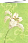 Easter White Lily Elegance Beautiful Easter in Spring card