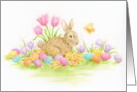 Easter Bunny Colored Eggs Flowers Joys of Nature Colors of Spring card