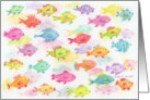 Christian Birthday Colorful Fish Sea Full of Blessings card