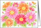 Birthday Colorful Gerbera Daisies Beautiful lWishes of Joy Happiness card