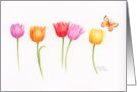 Easter Colorful Tulips Butterfly Beautiful Blessings of Spring card