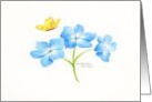 Thank You Blue Hydrangea Sprig For Your Kindness card