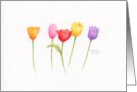 Mother’s Day Blessings Colorful Floral Tulips Beautiful Day Love card