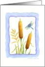 Blank Note Card Cattails & Dragonfly card