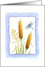 Father’s Day Dragonfly and Cattails Take it Easy card