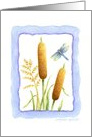 Birthday Cattails and Dragonfly card