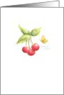 Thank You For Your Kindness Cherries Butterfly Means So Much card