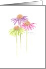 Thinking of You Uplifting Colorful Coneflowers Warm Caring Thoughts card