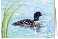 Father’s Day Loon On Blue Waters card