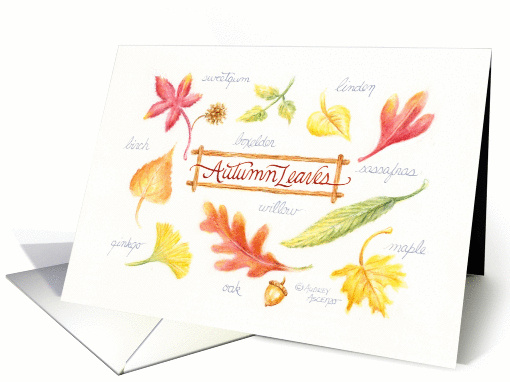 Blank Note Autumn Leaves Botanical Variety card (1141218)