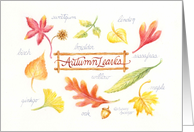 Blank Note Autumn Leaves Botanical Variety card