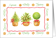 Christmas Tree, Holly, & Topiary In Decorative Terra cotta Garden Pots card