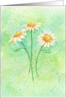 Thinking of You Three Graceful Daisies Warm Caring thoughts card