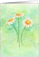 Encouragement Three Graceful Daisies Faith Strength Hope Peace card