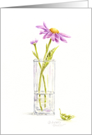 Blank Note Magenta Daisy in Vase card